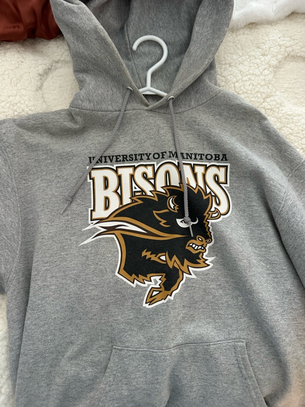 Champion Gray Eco Authentic Hoodie - Medium